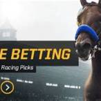 how to bet on horses online