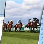 horse race and bet